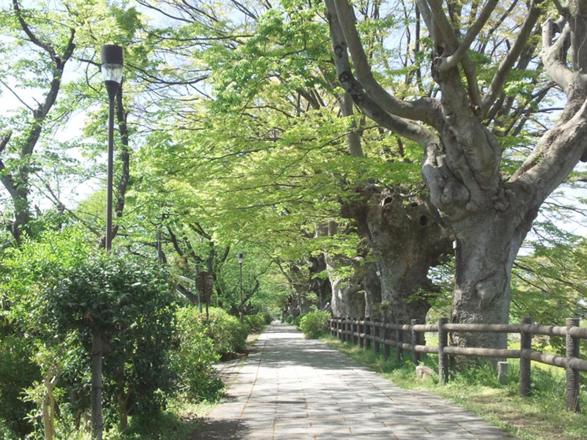 Business Hotel Serikawa Hikone Bagian luar foto